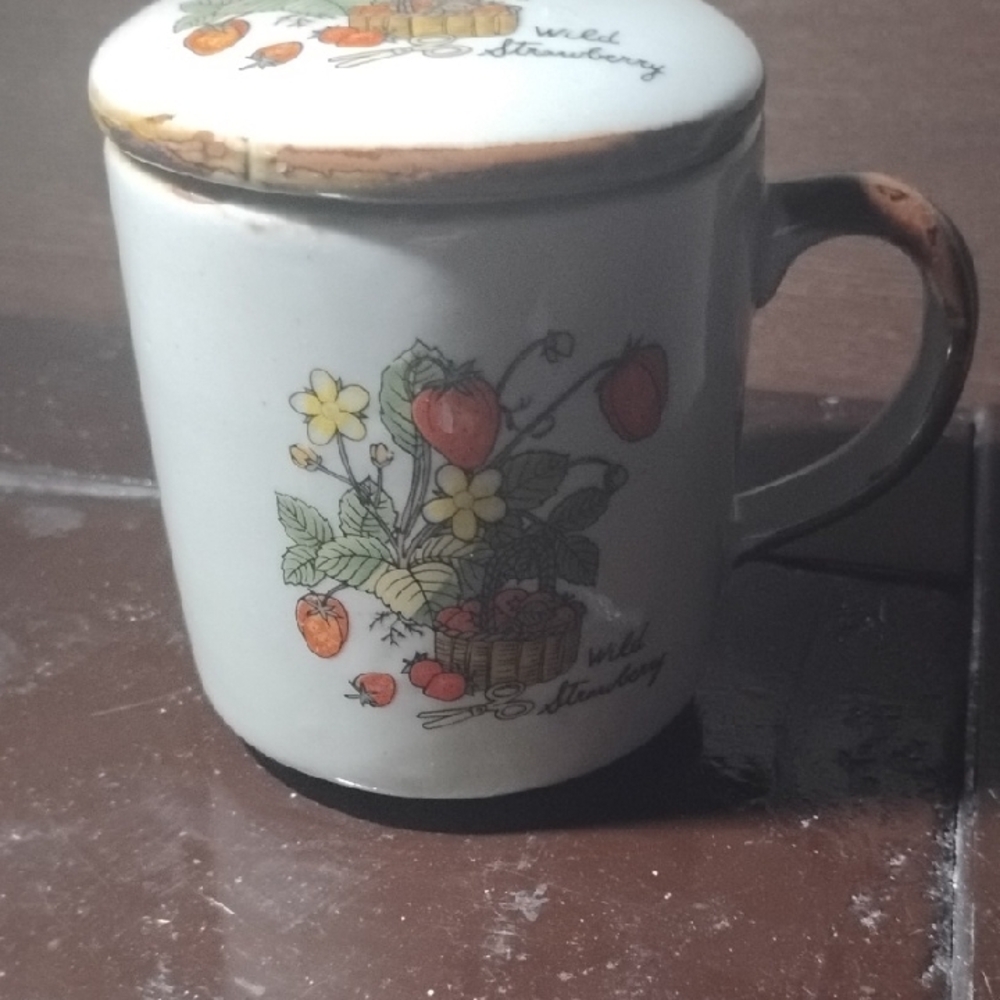 One Beautiful Hand-painted Coffee Mug Wild Strawberry Ceramic